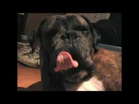 Say goodnight to the bad guy