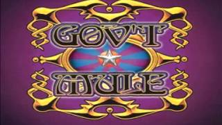 Gov&#39;t Mule - The Hunter (Live)