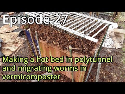 Episode 27 Making a hot bed in polytunnel and migrating worms in vermicomposter