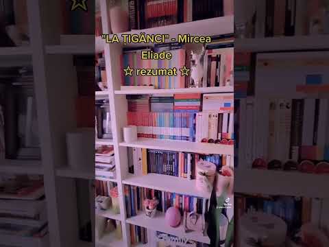 "La Tiganci" de Mircea Eliade - rezumat #carte #carti #nuvela
