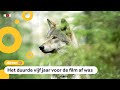 Filmmaker verkleedde zich als boom voor nieuwe film over wolven