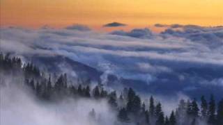 Bedlight For Blue Eyes - Life on Life's Terms