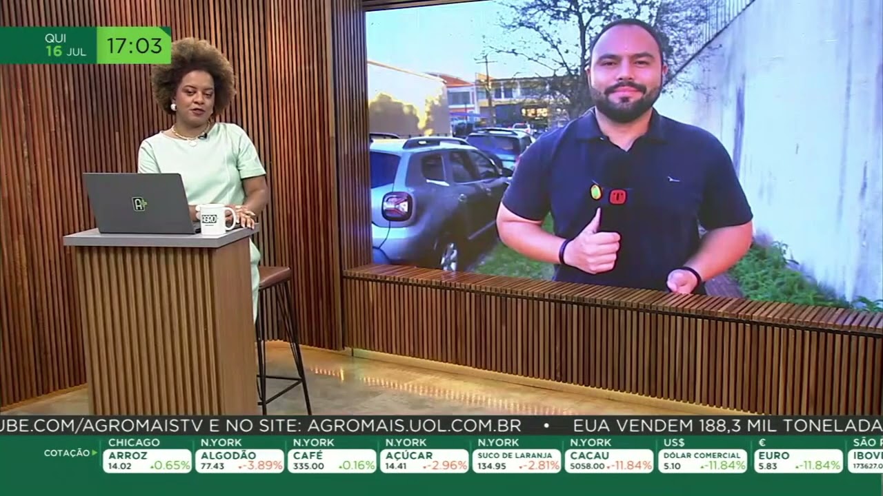 Geadas colocam produção de morango em risco no Brasil