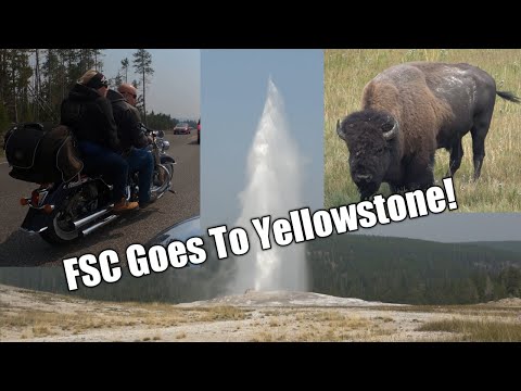 Harleys, Old Faithful Geyser And Bison In Yellowstone National Park