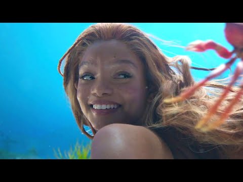 帶你回顧《小美人魚》中令人難忘的客串表演！ (The Memorable Cameo In The Little Mermaid Everyone Noticed)