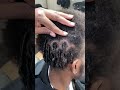 How To Do Coils Or Starter Locs Twostrandtwist Starterlocs