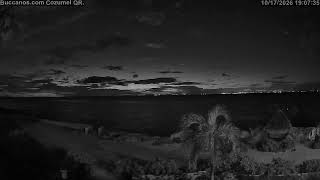Buccanos Beach Club Cozumel Mexico LIVE CAM live webcam