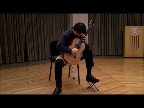 Yulong Guo Concert Model 2013 image 14
