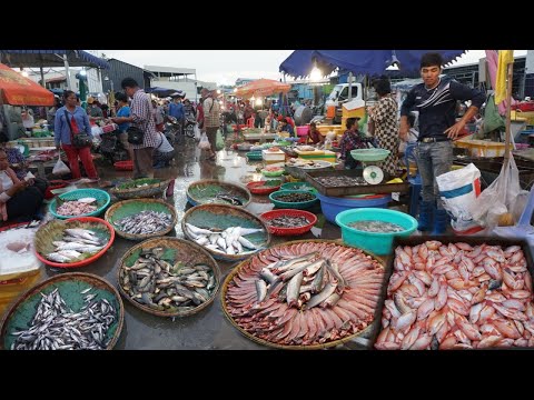 Early Morning Fish Market - Early Daily Lifestyle Vendor Selling & Buying Alive Fish, Seafood, More