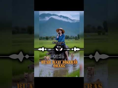 buah hati dikebas orang..ND Lala..cover version