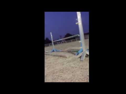 Cara by Cassius clay x reni