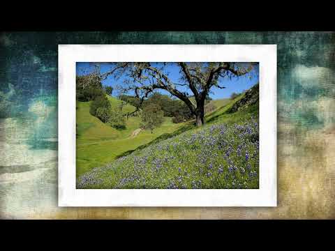 Branislav Mandic i Sekstet Dusana Radetica   Mele, Melo