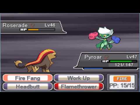 Pokémon Rejuvenation: vs Zetta (3º Battle)