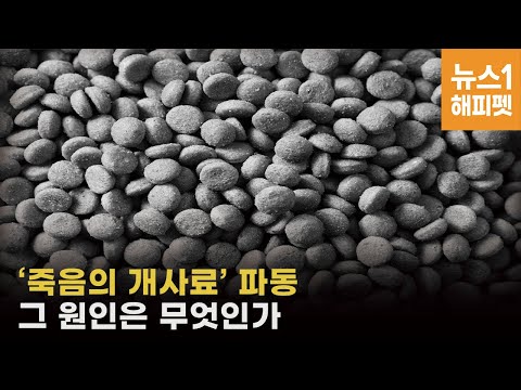 반려견 70여마리 생명 앗아간 '죽음의 사료'…어떻게 이런 일이 - 뉴스1