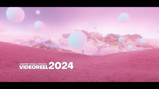 VideoReel 2024