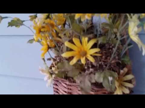 O meu ninho de passarinhos