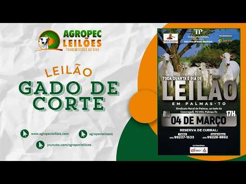 Agropecleiloes.com LEILÃO ESPECIAL GADO DE CORTE | TERRA PRÓSPERA LEILÕES - PALMAS- TO | 04/03/2026