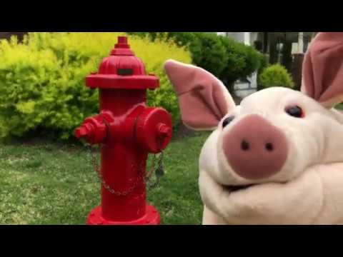 Pig and Narrator talk about a fire hydrant