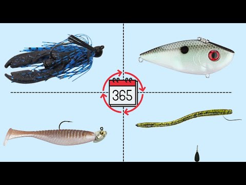 Top 4 Year Round Bass Lures and Techniques