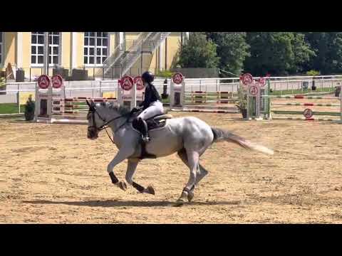 ZARA WHITE (5yo Zirocco Blue) 22.07.22 Stadl Paura 🇦🇹 - 1. 🥇 Platz 115 cm