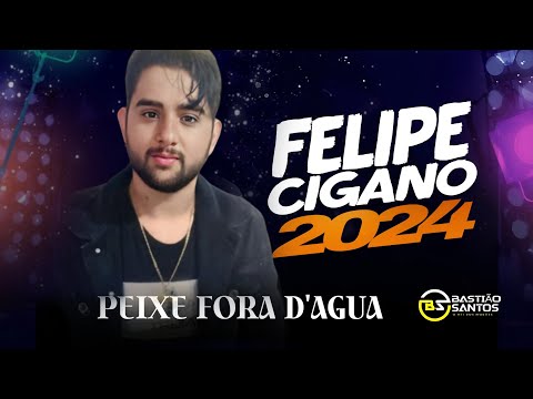 Felipe cigano 2024 peixe fora d'agua