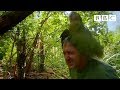 Shagged by a rare parrot - Last Chance To See ...