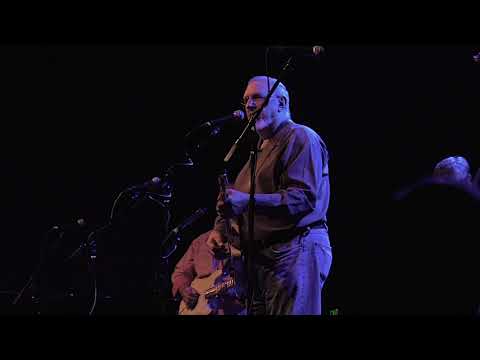 David Bromberg Quintet - This Month