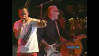 Ritmo Peligroso - Dejala Tranquila En Concierto.wmv