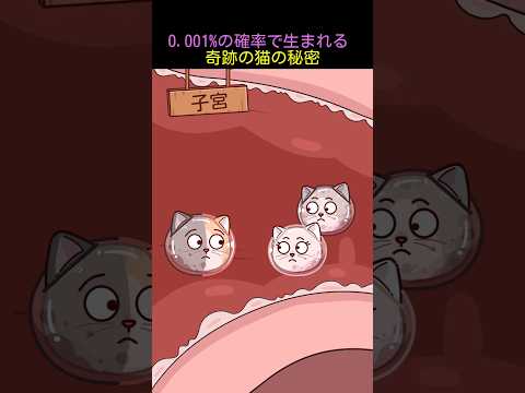 0.001%の確率で生まれる奇跡の猫の秘密