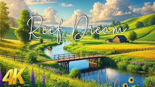 Reef Dream | 4K Planet Earth