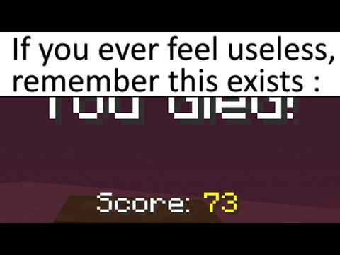 Minecraft Memes