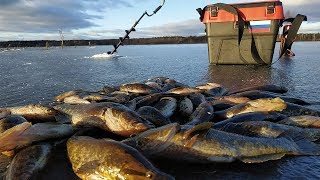 Мормышка для ловли ротана зимой