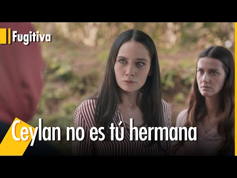 Berrak learned that Ceylan isn't his sister - Black Sea | Fugitive