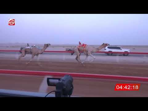  ش 2 (مغادر) لـ صالح حمد بن شليويح العامري 6:39:63 ، مهرجان العين 2026/07/10 إيذاع الوقن