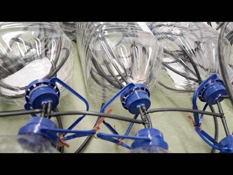 download lagu mp3 mp4 Beer Bottle Water Heater, download lagu Beer Bottle Water Heater gratis, unduh video klip Beer Bottle Water Heater