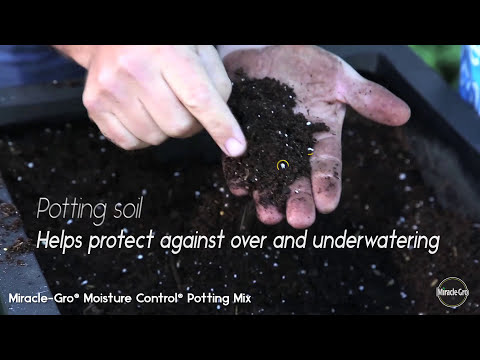 Potting mix soil vs. garden soil | Scotts Miracle-Gro Canada