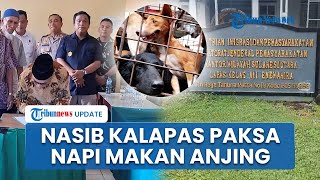 Nasib Kalapas Enemawira Sulut usai Paksa Narapidana Makan Daging Anjing, Dinonaktifkan