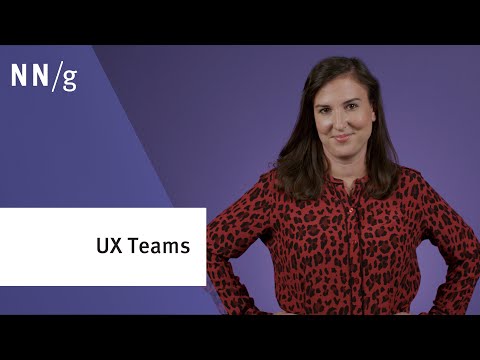 Typical Design Team Structures and Alignment - NN/G