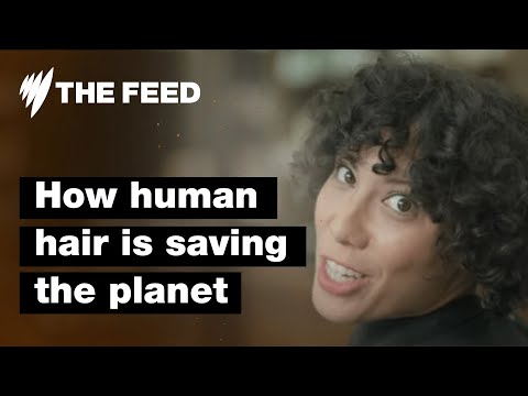 Hair today, solar electricity tomorrow | SBS The Feed