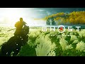 Incredible Intro Title Sequence In Ghost Of Tsushima