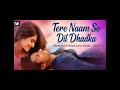Video L Tere Naam Se Dil Ko Sajaya L Hindi New Song