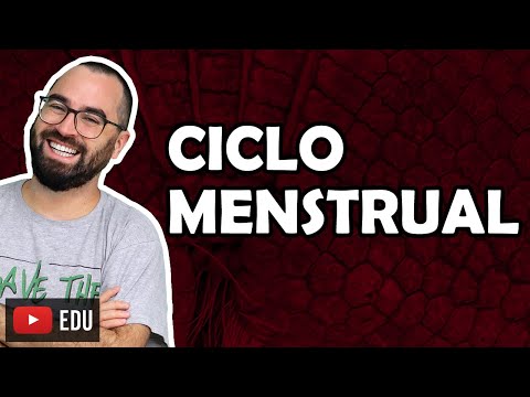 Menstrual Cycle - Class 35 - Module VII: Human Physiology | Prof. Gui
