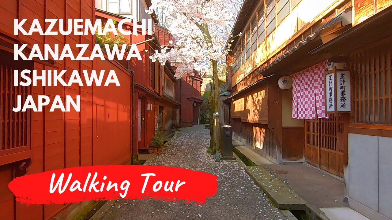 Experience an enchanting walking tour of Kazuemachi Chaya District amidst the breathtaking sakura season.