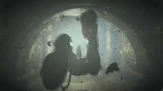 Rise of the Tomb Raider 20 Year Celebration Pack, 4K,117 FPS