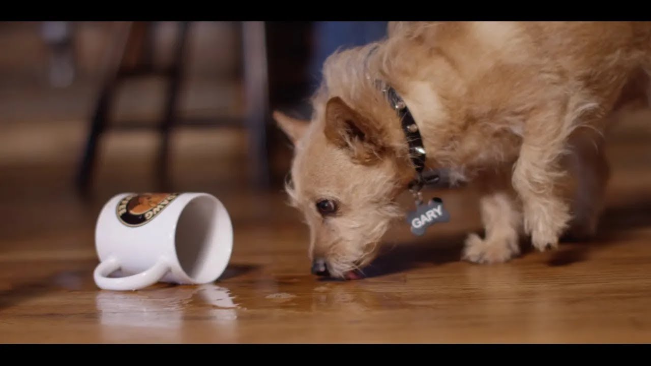 Trace Adkins - It All Adds Up To Us (Official Music Video)