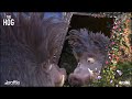 The Hog Mirror Episode 02 Cartoon Animation For Kids