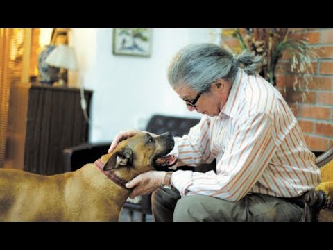 Alexander Tamir מחווה לאלכסנדר תמיר