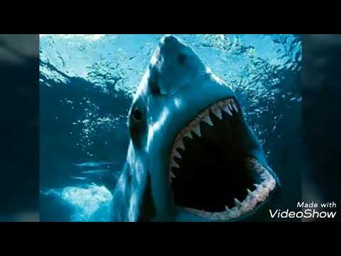 Jaws theme song extended 8 min by: Steven Spielberg