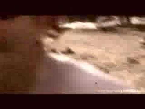 Babooeo - Bob Mannheimer feat. Ludwig & Kim Cooper