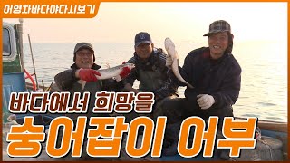 지금은 숭어시대! 바다에서 희망을 건져올리는 숭어잡이 어부